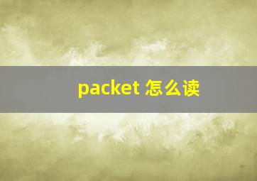 packet 怎么读